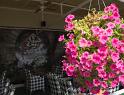 IMG_4190 copy